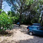 Appartement Family Friendly Seaside Dingac - Borak, Peljesac - 18060