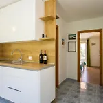 Family Friendly Seaside Dingac - Borak, Peljesac - 18060 Potomje