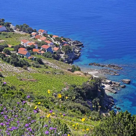 Apartment Family Friendly Seaside Dingac - Borak, Peljesac - 18060 *