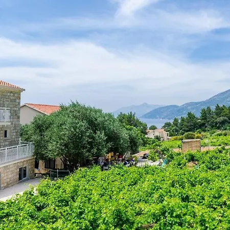 Family Friendly Seaside Dingac - Borak, Peljesac - 18060 *