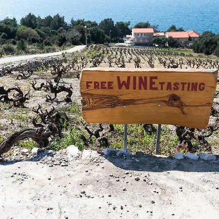 Family Friendly Seaside Dingac - Borak, Peljesac - 18060