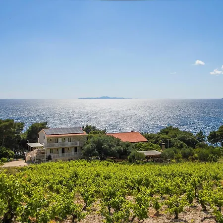 Family Friendly Seaside Dingac - Borak, Peljesac - 18060 Apartamento