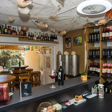 Family Friendly Seaside Dingac - Borak, Peljesac - 18060 דירה Potomje