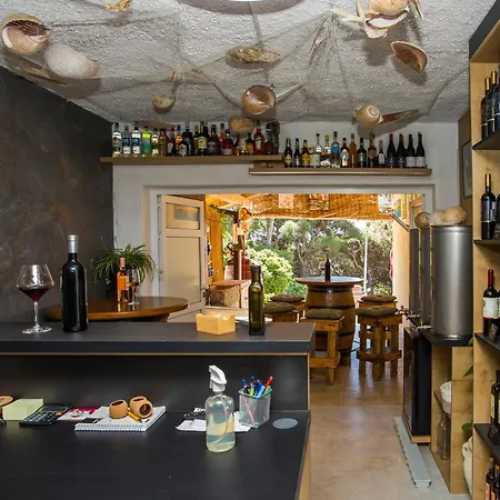 Family Friendly Seaside Dingac - Borak, Peljesac - 18060 *