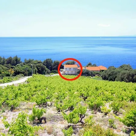 Family Friendly Seaside Dingac - Borak, Peljesac - 18060 *