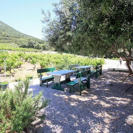 Family Friendly Seaside Dingac - Borak, Peljesac - 18060 * Potomje