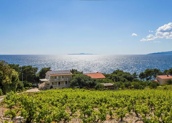 Family Friendly Seaside Dingac - Borak, Peljesac - 18060 Apartment